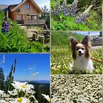 Berghexn 別荘 Klippitztorl