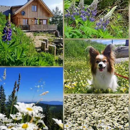 Berghexn Дом отдыха Klippitztorl