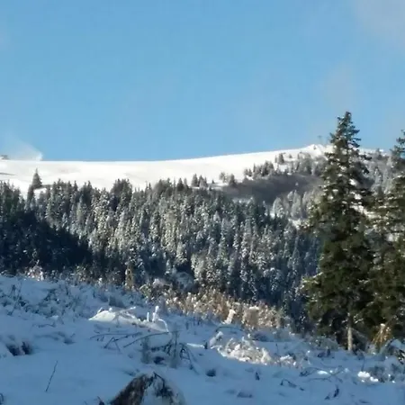 Дом отдыха Berghexn Klippitztorl