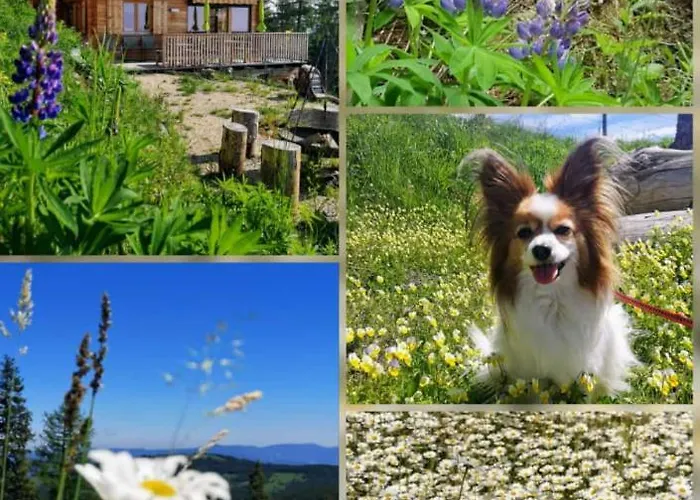 Berghexn بيت للعطل Klippitztorl